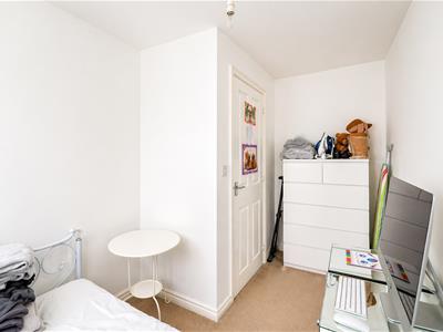 Picture 24